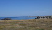 Tour Wandern Quiberon - GR34 Quiberon-Penthièvre par la côte sauvage - Photo 6