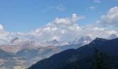 Tour Wandern Lus-la-Croix-Haute - sarrier grimone col de lus - Photo 3