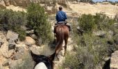 Trail Horseback riding Arguedas - Bardenas jour 7 - Photo 4