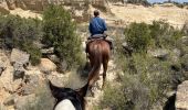 Percorso Equitazione Arguedas - Bardenas jour 7 - Photo 4