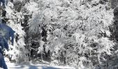 Tocht Stappen Bouvante - Crête des Gagères - Photo 2