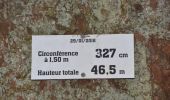 Randonnée Marche Stavelot - 20220711 - Francorchamps 7.1 Km - Photo 6