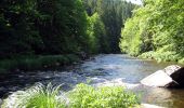 Tour Zu Fuß Fürsteneck - Fürstenecker Triftsteig - Photo 5