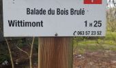Trail Walking Léglise - Marche ADEPS 10KM600 à Leglise. - Photo 8