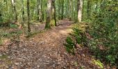 Trail Walking Vendôme - Petit parcours dans la partie Sud-est du Bois de l'Oratoire - Photo 17