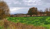 Trail Walking Merbes-le-Château - Balade à Fontaine-Valmont - Photo 2