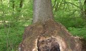 Excursión Senderismo Chaudfontaine - 20220427 - TOTEMUS Embourg 3.8 Km - Photo 19
