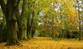 Tour Zu Fuß Lautschin - Naučná stezka Loučeň - Photo 6