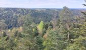 Tour Wandern Celles-sur-Plaine - Lajus Celles sur Plaine - Photo 3