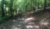 Trail Walking Somme-Leuze - gR2.9 Sinsin-Chevetogne - Photo 16