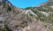 Tour Wandern Vallorcine - 20220414 Vallorcine Cascade Barberine - Photo 3