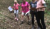 Trail Walking Bouilly - Rando Thierry forêt Bouilly le 19.07.19 - Photo 3