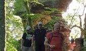 Percorso Marcia Roppeviller - Roppewiler Rochers altschlossfelsen et Diane - Photo 5