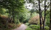 Trail Walking Bouillon - Promenade du Moulin du Rivage. (3,5km) - Photo 1