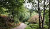 Trail Walking Bouillon - Promenade du Moulin du Rivage. (3,5km) - Photo 1
