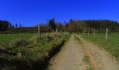 Tocht Mountainbike La Roche-en-Ardenne - activity_8670328691 - Photo 10