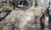 Trail Walking Fuilla - fuilla (66) - Photo 20