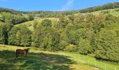 Tour Wandern Schnierlach - La tour du Faudé - Photo 19