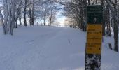 Randonnée Raquettes à neige Léoncel - Le Grand Echaillon - Les Crêtes de la Sausse - Photo 4