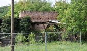 Randonnée A pied Rockenhausen - Rundwanderweg Rockenhausen: Rund um den Wachthübel - Photo 5