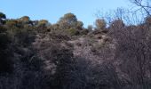 Trail Walking Valensole - plateau de valensole . ravin des cognets . ravin de la combe  - Photo 2