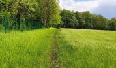 Trail Walking Liège - Promenade du Vallon du Ry-Ponet  - Photo 2