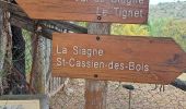 Trail Walking Le Tignet - circuit du val de Siagne - Photo 2