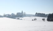 Percorso A piedi Nebílovy - Naučná stezka Nebilovy - Photo 8