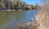 Trail Walking Monétay-sur-Allier - la boire de Monetay + l Trail Walking Monétay-sur-Allier - la boire de Monetay + l