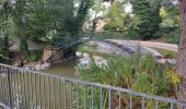 Tocht Stappen Igny - Entre jardins et forets - Photo 6