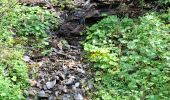 Tour Wandern Theys - PETITE BALADE A PIPAY - Photo 8