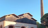 Trail Walking Port-Vendres - paullile - Cap bear via la mer retour via les vignes  - Photo 1