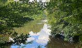 Trail Walking Houffalize - Les deux Ourthes au départ de Filly - Photo 17