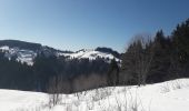 Randonnée Raquettes à neige Ugine - Hery - Belieuvre - Photo 3