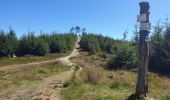 Trail Walking Sainte-Marie-aux-Mines - Col des Bagenelles et les deux Brézouard - Photo 18