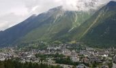 Randonnée Marche Chamonix-Mont-Blanc - Chamonix départ parking du Biolay derrière cimetière  - Photo 11