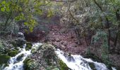 Excursión Senderismo Plan-d'Aups-Sainte-Baume - Sources de l'Huveaune  - Photo 2