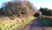 Randonnée A pied Inconnu - Castlewellan Forest Park - Moorish Tower Walk - Photo 3