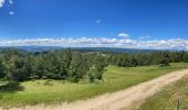 Tour Mountainbike Cubières - TOUR MONT LOZERE - Photo 4