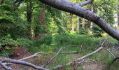 Trail Walking Spa - Bérinzenne entre fagne et forêt  - Photo 3