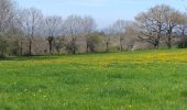 Tocht Stappen Saint-Chély-d'Aubrac - Compostelle St chely St come d'olt - Photo 7