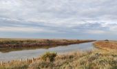 Tocht Stappen Saintes-Maries-de-la-Mer - La gacholle - Photo 1