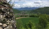 Trail Walking Charavines - Balade entre Clermont et Charavine - Photo 6