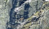 Trail Walking Chamonix-Mont-Blanc - Chamonix Lac Blanc  - Photo 3