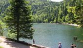 Trail Walking La Bresse - SityTrail - Le Lac des Corbeaux - La Bresse - Photo 2