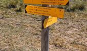 Trail Walking Barcillonnette - Lac de Peyssier  - Photo 7