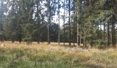 Percorso Marcia Spa - petit tour entre les fagnes Malchamps et James - Photo 8