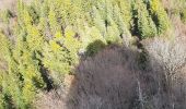 Tocht Stappen Proveysieux - Aiguille de Quaix - Photo 18