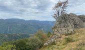 Tocht Stappen Kirchberg - Lochberg ferme auberge - Photo 8