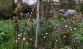 Randonnée Marche Gembloux - Promenade du bois de Grand-Leez et son étang  - Photo 7